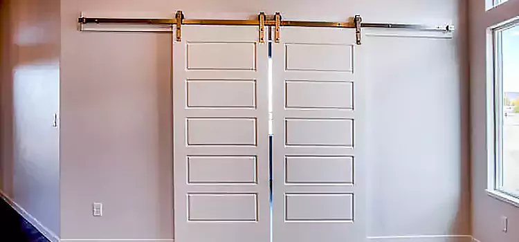 Glass Barn Door with Installation Hardware Kit Helena