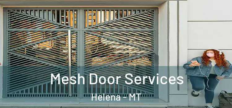 Mesh Door Services Helena - MT